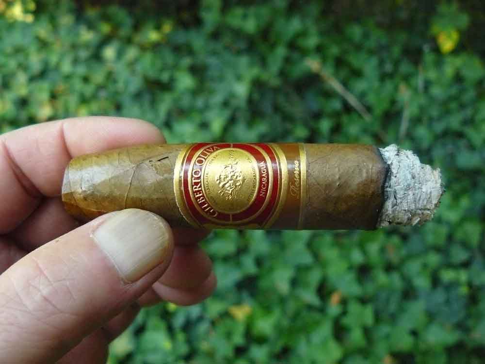 Gilberto Oliva Reserva is a solid addition to the Oliva cigar portfolio
